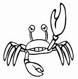 Crab Coloring Pages Sea Color Animals Angry Life Animal Printable Cartoon Funny Kids Thecolor Hermit sketch template