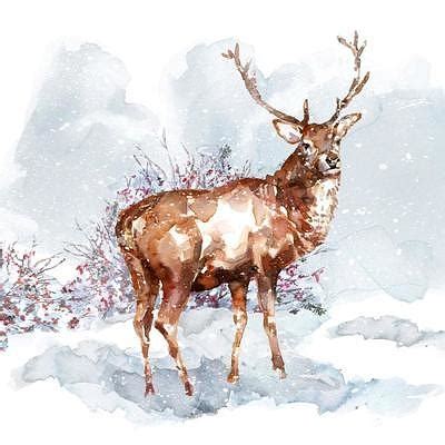 deer watercolor winter background drawing  jared austin
