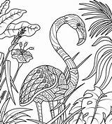Flamingo Kolorowanka Zentangle Natureza Okresie Letnim Freepik Ausmalbilder Colorare Luau Ora Legale Libro Nel Vettori Colori sketch template