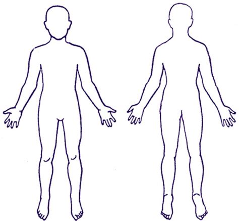 outline   body   outline   body png images