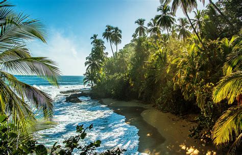 caribbean coast gaycations costa rica