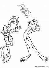 Sapo Tiana Coloriage Frog Imprimir sketch template