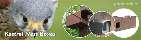 kestrel nest boxes