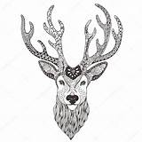 Head Stag Mehendi Deer Tattoo Template Illustration Coloring Stock Pages Templates Preview sketch template