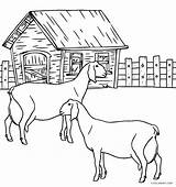 Coloring Kleurplaat Boerderij Fazenda Animais Bauernhof Topkleurplaat Huis Cool2bkids Goats Fazendinha Boerderijdieren Dieren sketch template