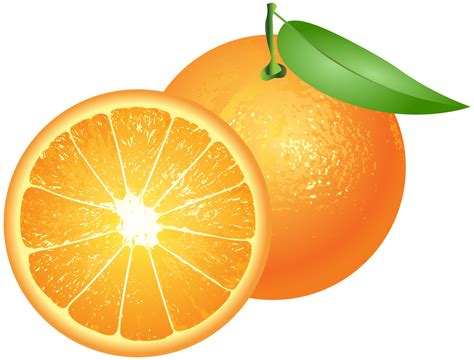 orange clipart transparent background orange transparent background