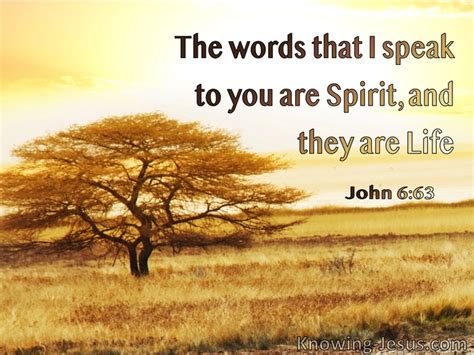 bible verses   holy spirit  preaching