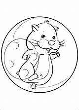 Coloring Zhu Pets Pages Kids Hamster Book Info Colouring Cute Pet Hamsters Animals Fun Animal Printable Leaves Fall sketch template