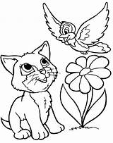 Katze Vogel Ausmalen Blume sketch template