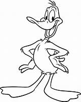 Duck Daffy Coloring Looney Pages Drawing Drawings Clipart Toons Tunes Hunting Color Print Cliparts Getdrawings Clipartmag Library sketch template