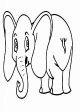 Salvajes Elefante Domesticos Selva Dibujosparacolorear sketch template