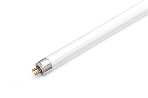 cool white   fluorescent tubes  popular colour light bulbs