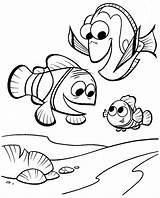 Nemo Finding Ausmalbilder Findet Educationalcoloringpages sketch template