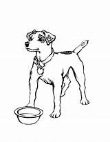 Dog Coloring Pages Printable Dogs Kids Real sketch template