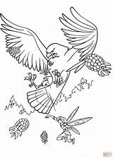 Hawk Coloring Tinkerbell Pages Red Tailed Printable Tinkelbel Big Kids Kleurplaten Disney Fairy Colouring Print Books Book Coloriage Getcolorings Drawing sketch template