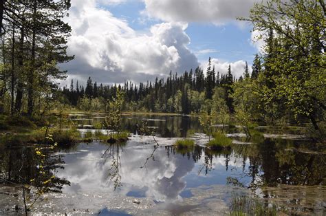 hochmoor schweden foto bild landschaft moor natur bilder auf