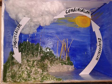eco friendly model  water cycle  kids science project