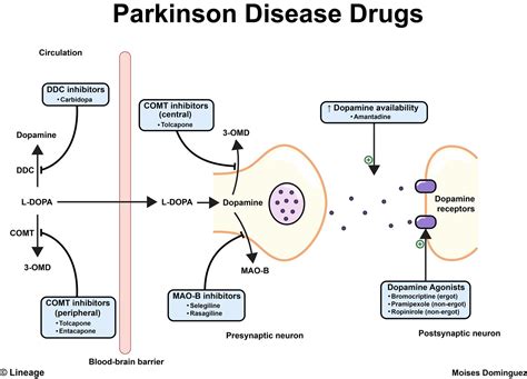 parkinsons disease shawn reaves