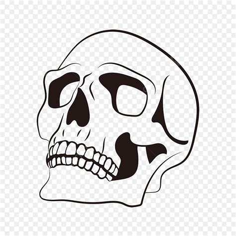 skulls clipart transparent background black    skull