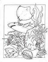 Coloring Pages Creatures Creature Ocean Lagoon Getcolorings sketch template