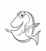 Nemo Finding Coloring Squirt Pages Getcolorings sketch template