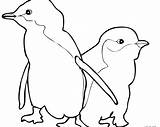 Penguin Coloring Adelie Getdrawings sketch template