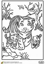 Maman Tigre Bébé Tigres Bébés Ses Leur Forêt Hugo Hugolescargot Parfait Mignon sketch template