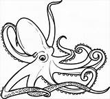 Octopus Gurita Mewarnai Kraken Binatang Putri Putra Coloringbay Lucu Doghousemusic sketch template