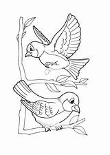 Oiseau Kleurplaat Vogels Afdrukken Canari Coloring Coloriages Thema sketch template