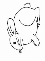Rabbit Colouring Colour Coloringpage Ca Pages Check Category sketch template