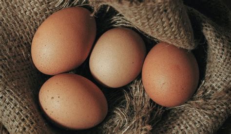 ¿qué Son Los Huevos De Primera Puesta Blog Ametller Origen