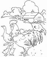 Farm Coloring Chicken Pages Scene Honkingdonkey sketch template