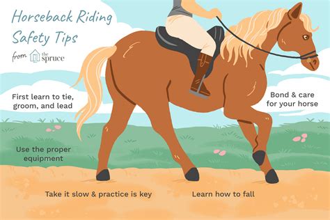 ride  horse safely