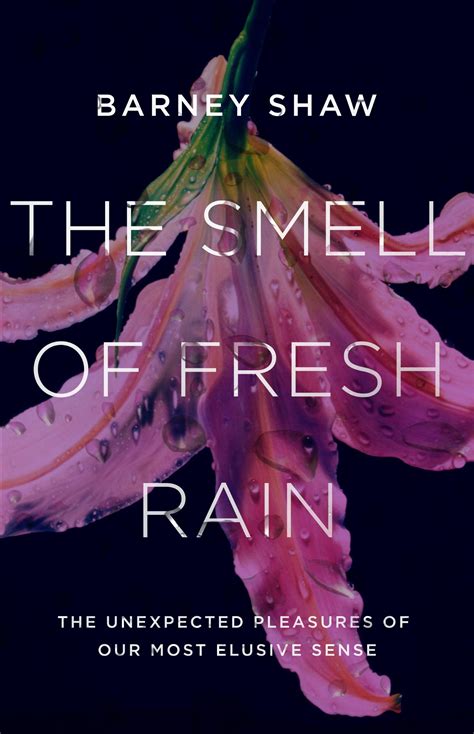 The Smell Of Fresh Rain The Unexpected Pleasures Of Our