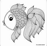 Colorare Pesci Fisch Peces Bambini Adulte Goldener Coloring Coloriages Pesce Acquario Colorati sketch template
