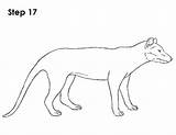 Tasmanian Tiger Thylacine How2drawanimals sketch template