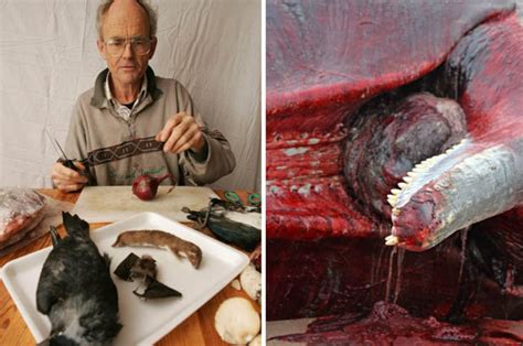 roadkill eating pensioner wants to make a sperm whale stew