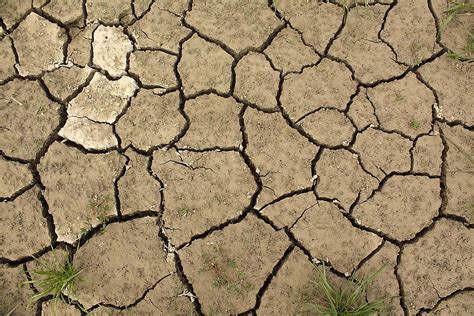 soil degradation   consequences