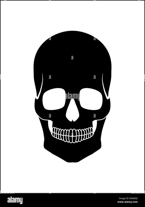 black skull  res stock photography  images alamy
