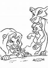 Lion Coloring Colorare Leone Disegni Scar Mufasa Simba Zira Ausmalbild Nala Contro Cartoni Animati Coloringfolder Protecting Idee Bambini Bambino Drago sketch template