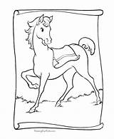 Pferde Caballos Ausmalen Pertenecen Marcados Chachipedia sketch template