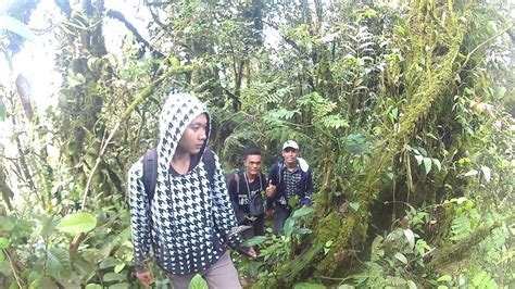 Gunung Barus Atau Deleng Barus Tanah Karo Sumatera Utara