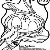 Coloring Dove Mourning Crayola Robin sketch template