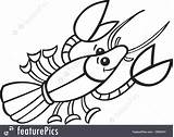 Crawfish Drawing Coloring Crayfish Vector Boil Illustration Getdrawings Book Shutterstock Stock sketch template