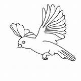 Bird Flying Coloring Drawing Pages Parrot Simple Amazing Birds Cartoon Color Kids Print Floating Sketch Flight Sparrow Cute Printable Getdrawings sketch template