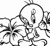 Coloring Tweety Bird Pages Baby Print Girls Looney Tunes Sylvester Cute Colouring Kids Sheets Printable Flower Easter Gangsta Getdrawings Cartoons sketch template