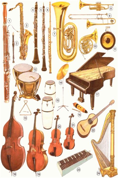 musikinstrumente   musik musikinstrumente