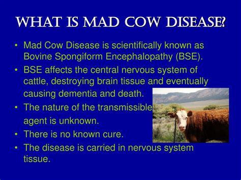 mad  disease history center  food safety issues