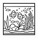 Acquario Aquarium Acuario Libro Colorear Acquatiche Pescados sketch template