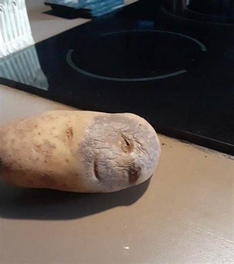 potato   man face roddlyterrifying